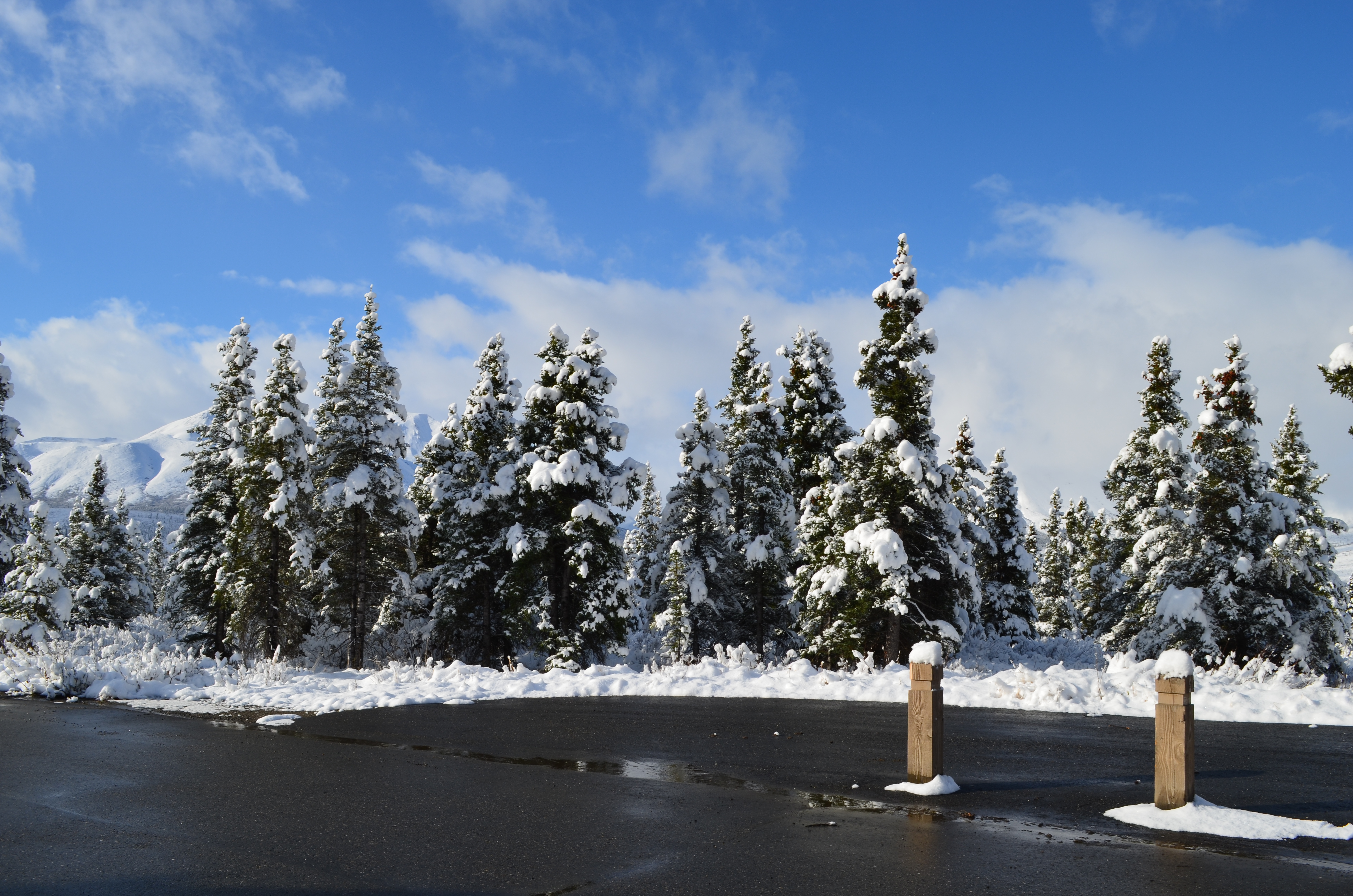 ./2017/08 - Alaska Cruise/03 - Denali/DSC_0257.JPG